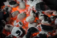 Indonesian Premium Coconut  Wood Charcoal Briquettes