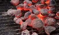 Charcoal Briquettes Indonesia